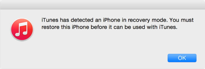 iTunes
