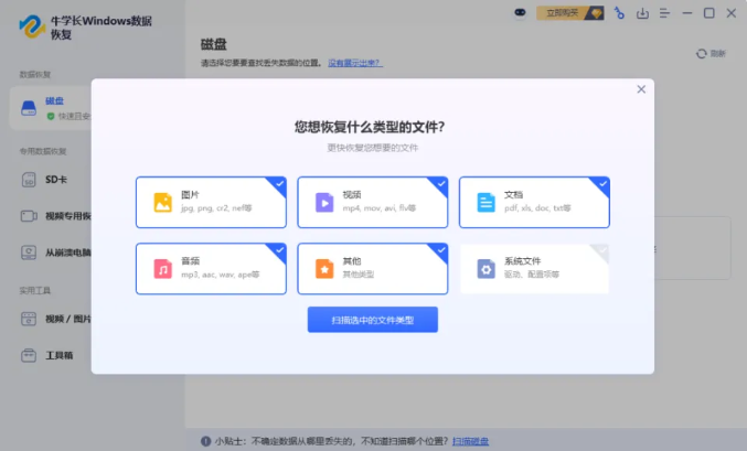 文件类型
